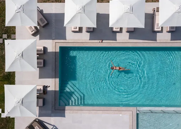 Nature View Apartamento